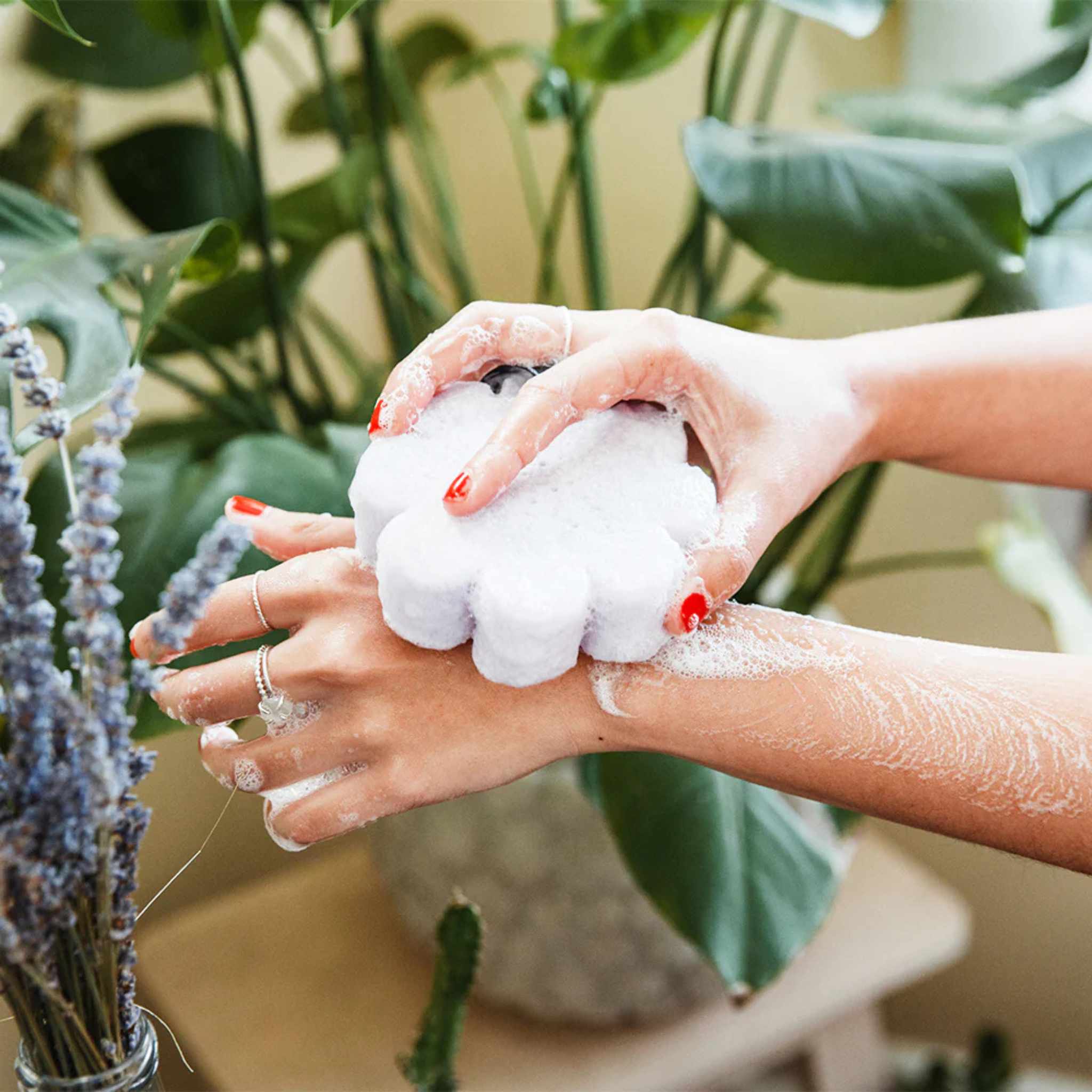 Sponge on hand with plant background