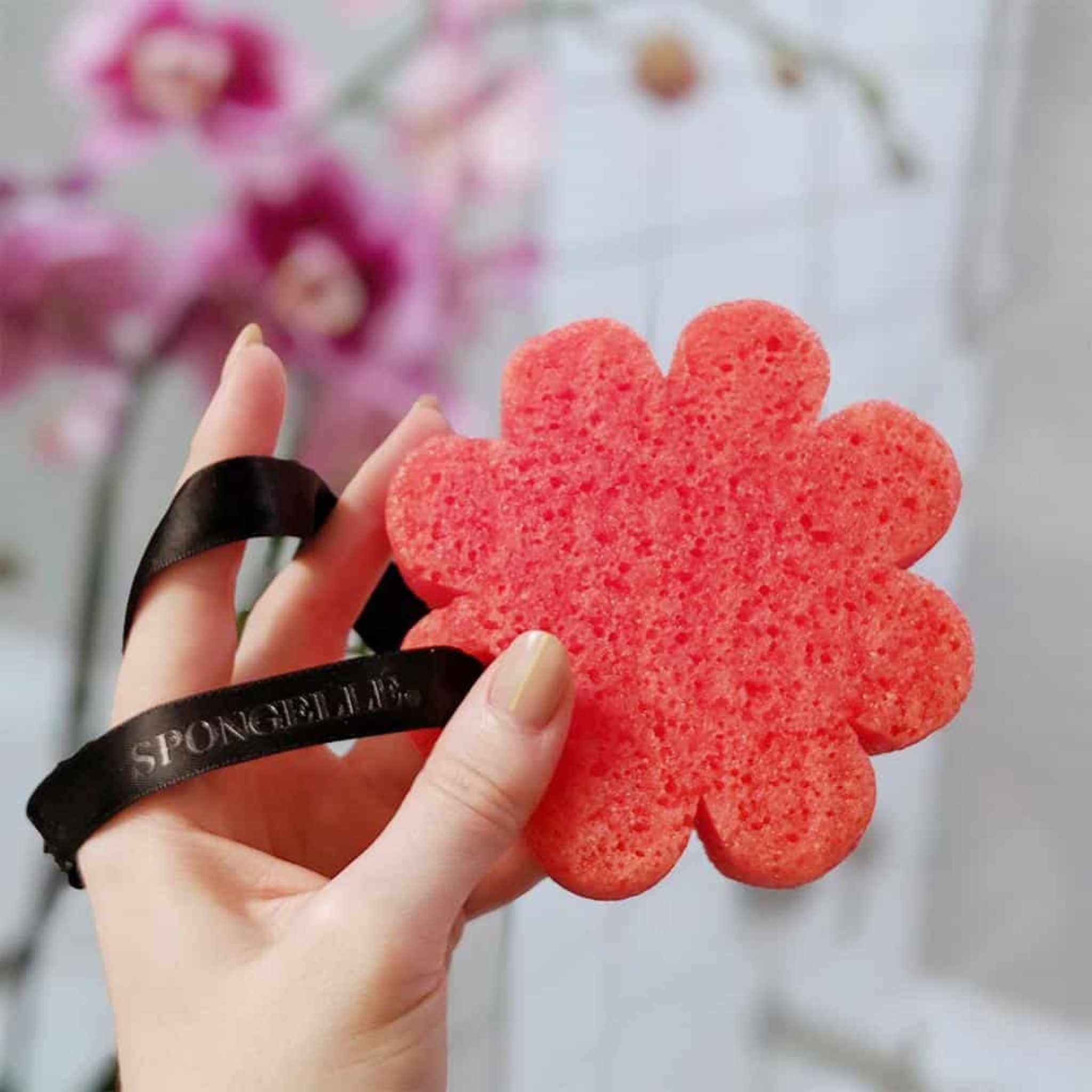 Someone holding a coral flower shaped sponge