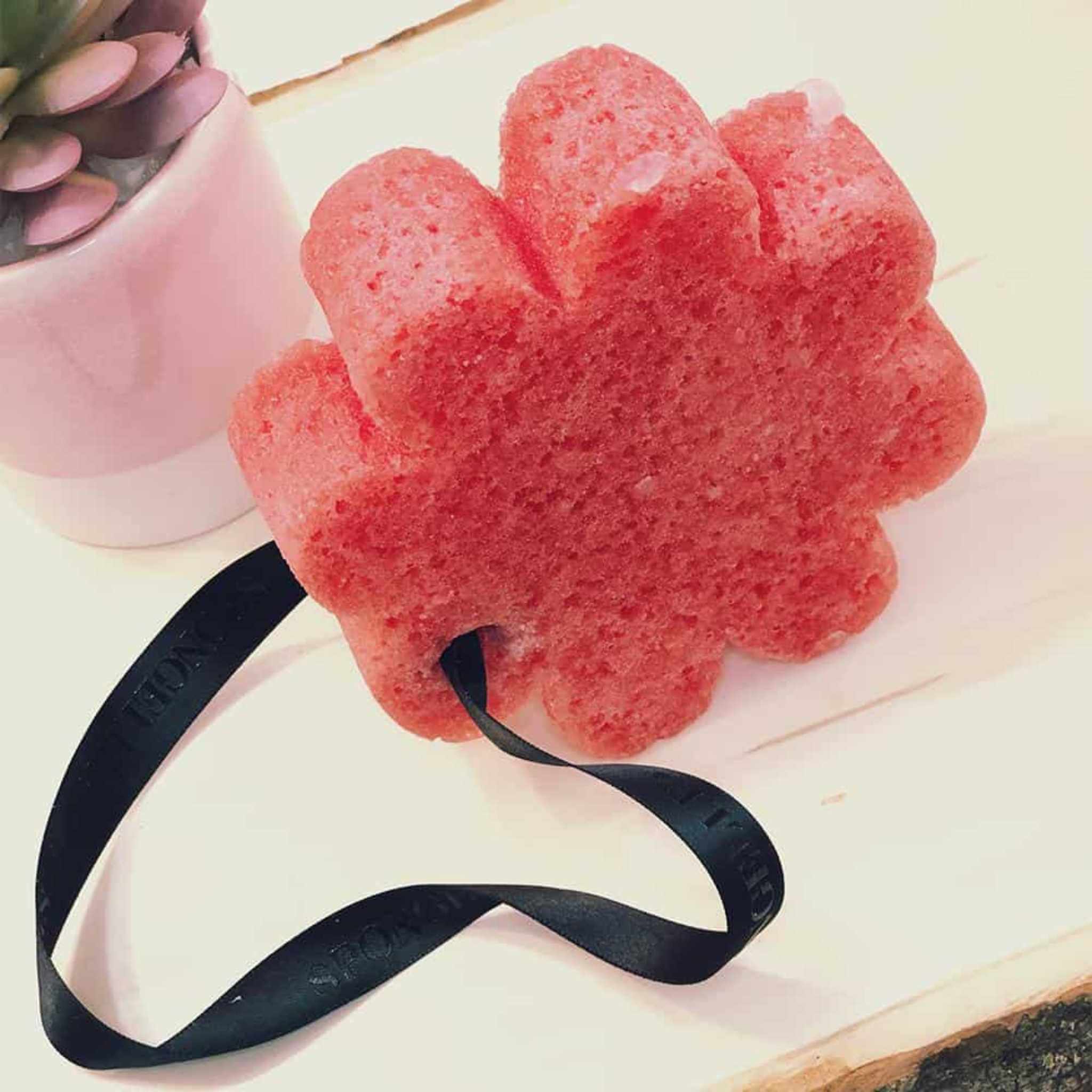 A coral flower shaped sponge on a table with a plotted plant next to it