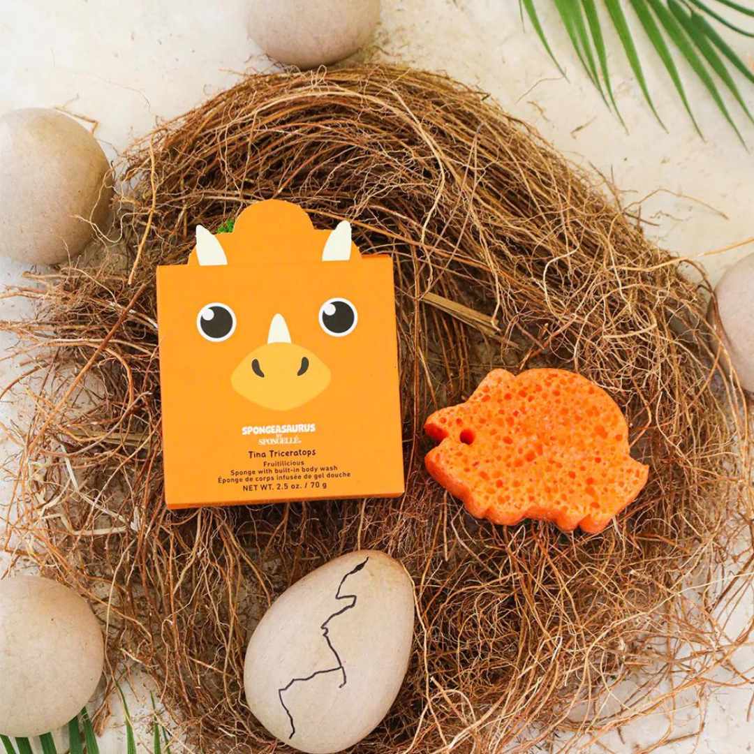 Dinosaur shaped sponge with box on top of nest with eggs surrounding it