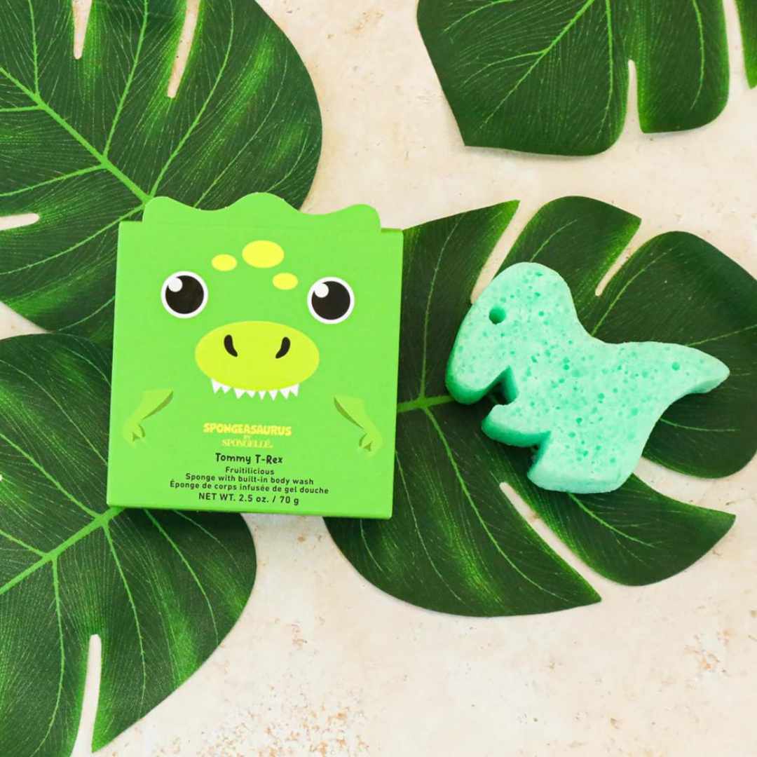 T-rex shaped sponge with box on top of leafy background