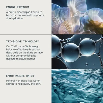 Product features with text and images of algae, bubbles, and water.