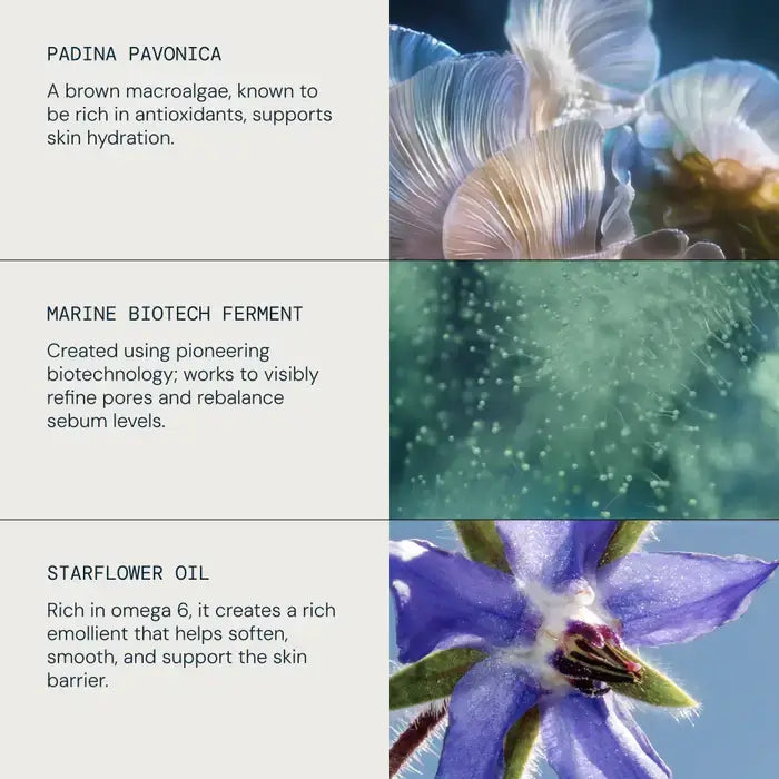 Product ingredients with images and descriptions of Padina Pavonica, Marine Biotech Ferment, and Starflower Oil.